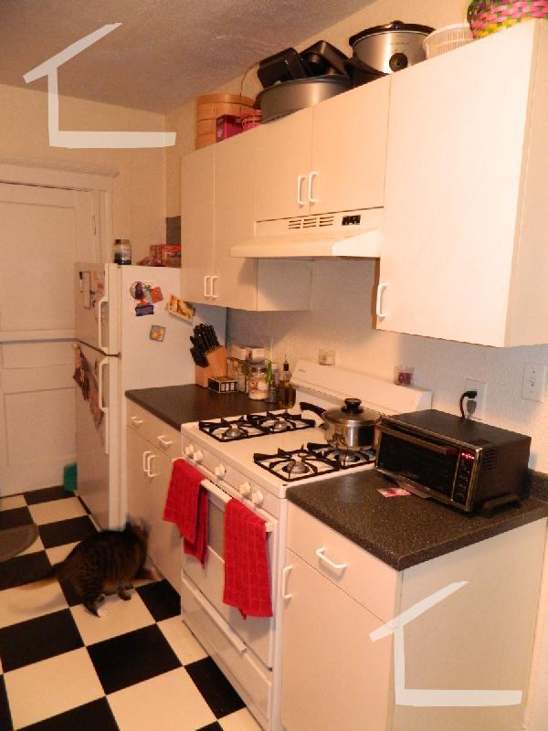 120 Brainerd Rd unit 1, Allston, MA 02134 - photo 3