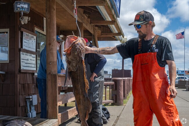 Test your luck on a charter boat and join Westports daily fishing derby.