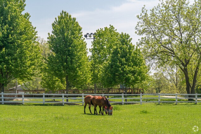 The Danada Equestrian Center offers a variety of horseback riding lessons in nearby Wheaton.