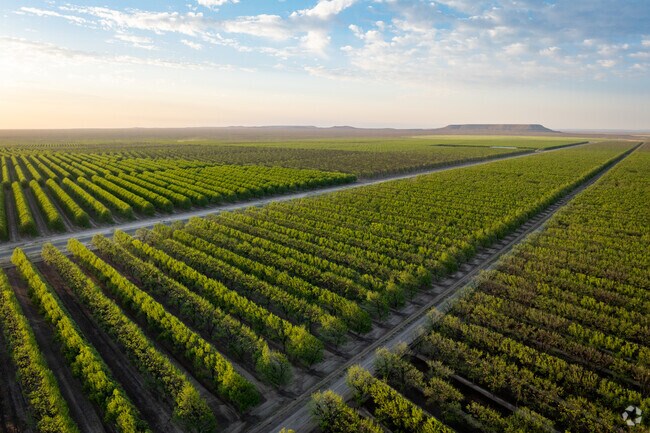 Thriving agricultural crops provide locals with work in the Fort Stockton area.