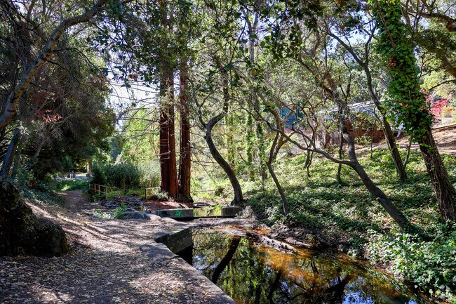 The best feature of McCrea Memorial Park is the clear creek in Oakland.
