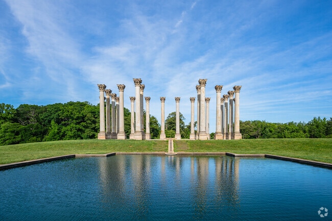 Visit the popular National Columns in the middle of the National Arboretum.