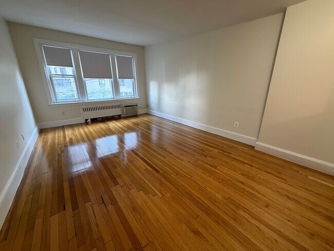 306 Tappan St unit 101, Brookline, MA 02445 - photo 3