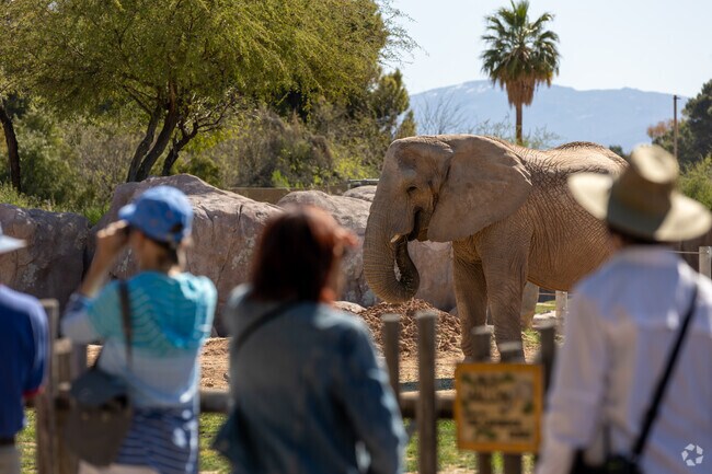 Guests at Reid Park Zoo enjoy the large elephant enclosure.