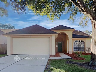 1205 Bloom Hill Ave, Valrico, FL 33596