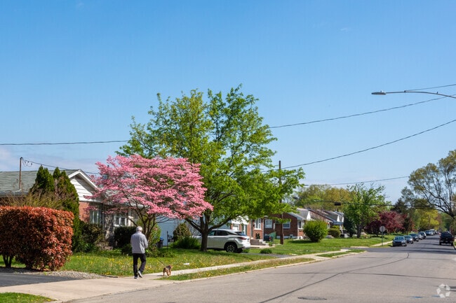 A resident enjoys a sunny day while walking their dog in Folsom, PA.