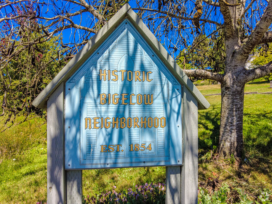 NH_BigelowHighlands_550986_P2_v1_KB_070824