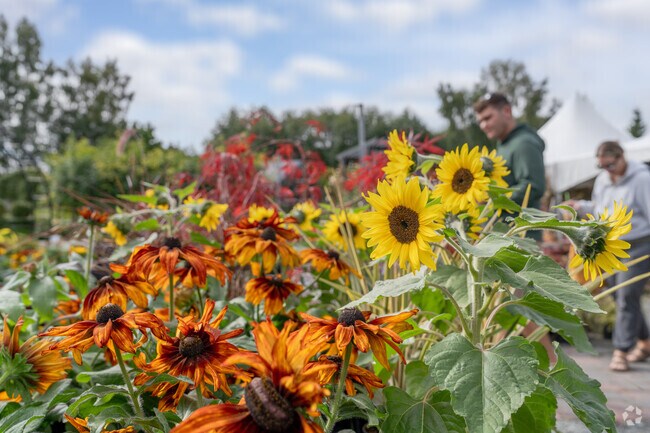 Beautiful sunflowers and Langley's warm community welcome your arrival.