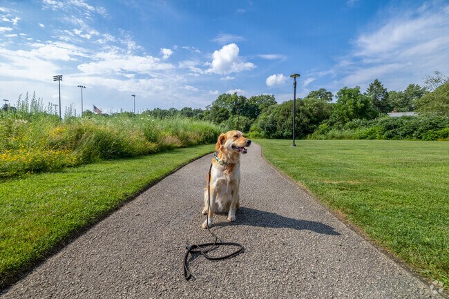Ralph, a local favorite in East Weymouth takes a break on his walk at Legion Field
