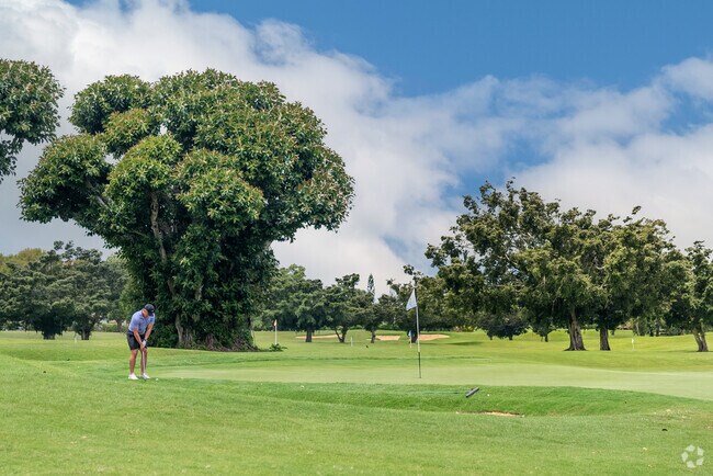 Princeville is home to world-class golf courses and luxurious resorts.