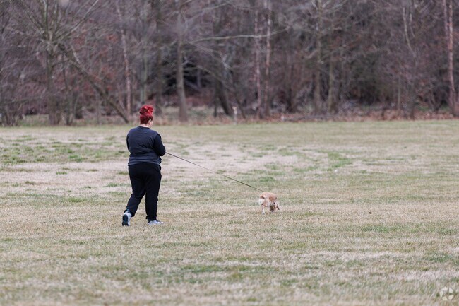 Residents stroll through Tremont on evening walks with their pups.