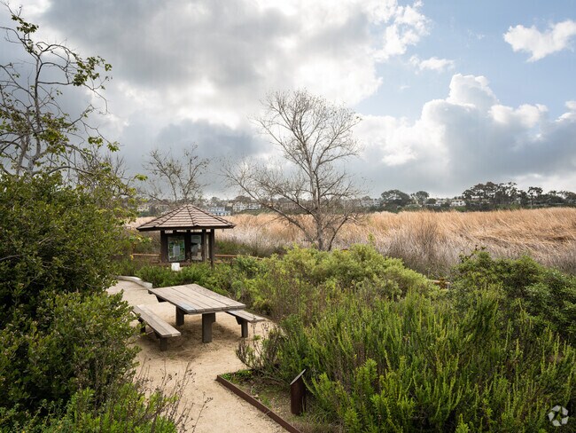 The Buena Vista Lagoon and Nature Center.