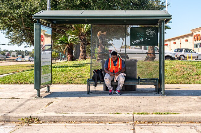 Public transportation runs throughout the Dillard area.