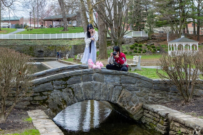 The arch bridge at Lititz Springs Park has spanned the stream since 1856, adding historic charm.
