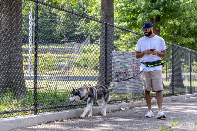 Northside residents enjoy strolls with their dogs, adding life to its tree-lined streets.