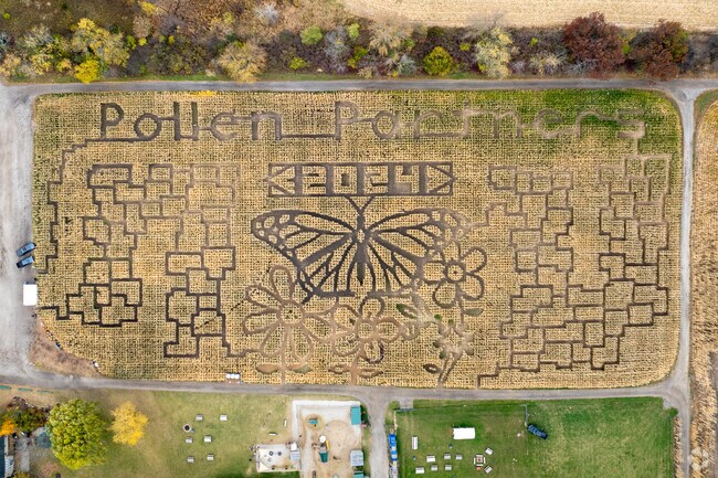 Local farms like Kroll's Fall Harvest have attractions like corn mazes.