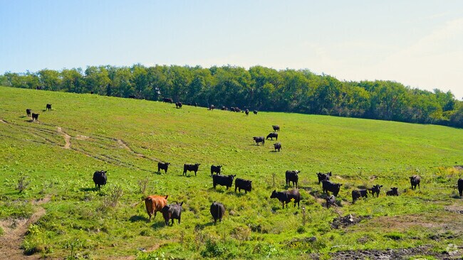 Cecil Township_531313_081425_TJW_FINAL