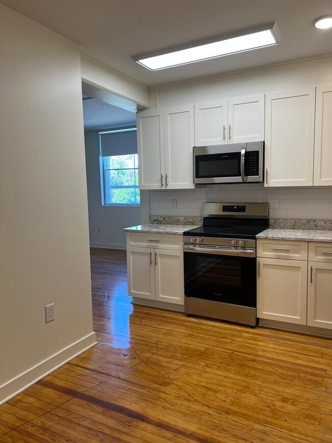 Pulaski Lofts, Pulaski, VA 24301 - photo 2