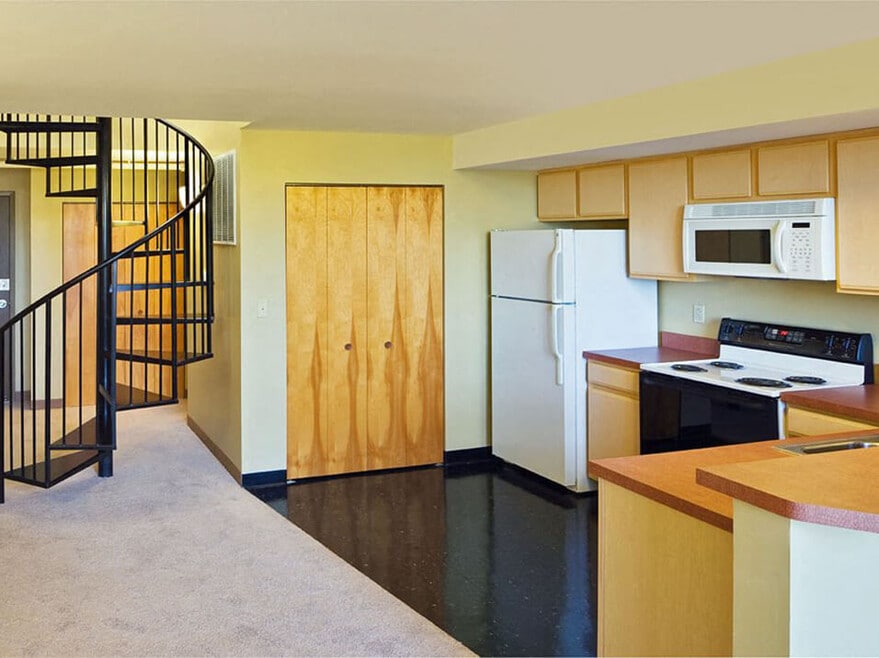 Open Concept Kitchen Layouts