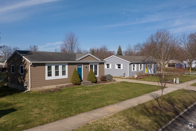 Ranchers-style homes are commonly found in North East Citizens Action, MI.