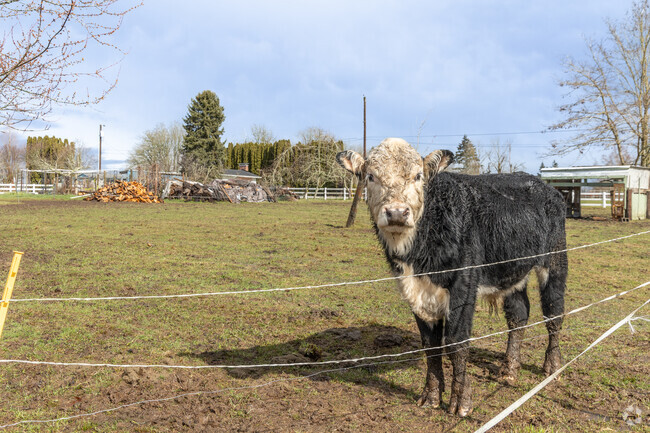 The Sandy River neighborhood has many hobby farms.