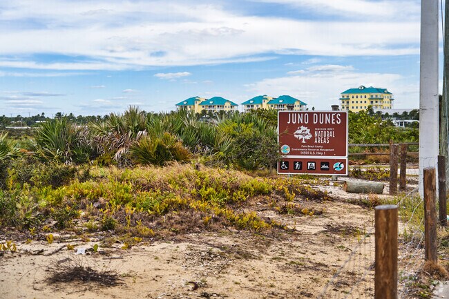 Juno Dunes Natural Area features scenic trails through coastal scrub and wetlands.