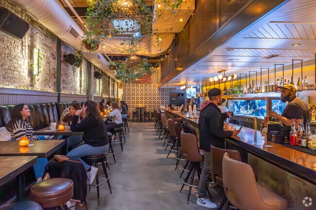 Remedy in Bucktown is an unpretentious neighborhood bar with a modern vibe.