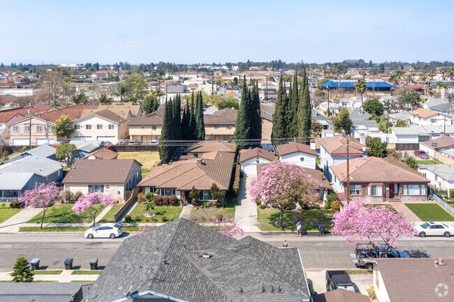The residential streets of Artesia have blossom spring trees too.