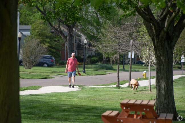 Schneider Park in West Akron is a great place to take your dog for a walk.