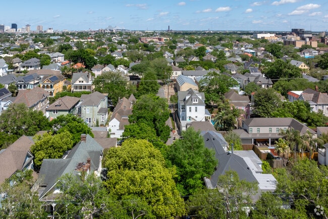 The streets of Milan of covered with large shade trees.
