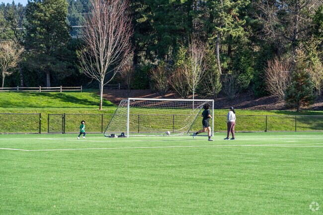 Visitors can play soccer on the turf fields at Mountain View Champions Park in Aloha.