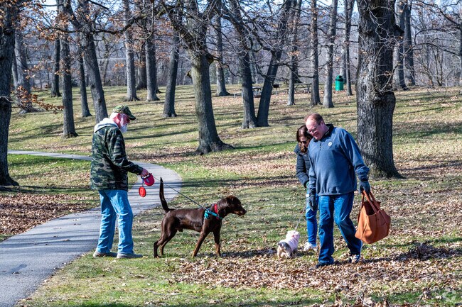 Dogs enjoy a refreshing walk along the scenic trails at Clover Beach in Fenton Township.