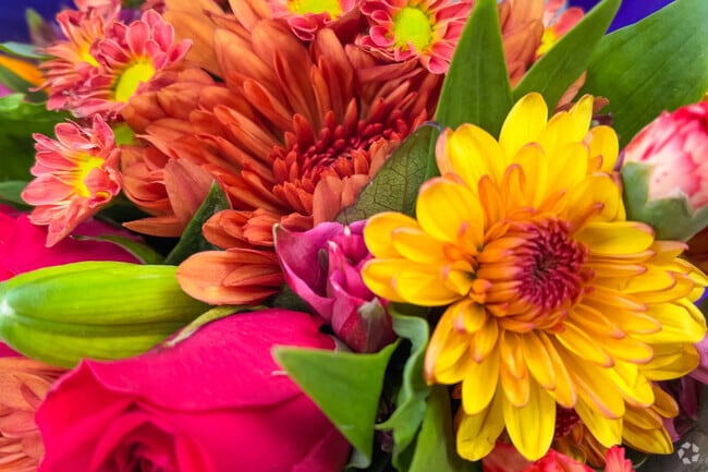 Dodge Flower is a blooming community in Tucson.