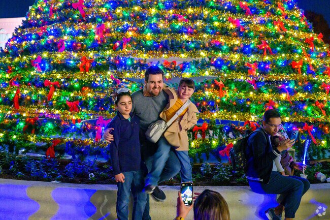 Families from Highland Park come together every year for The Big Pecan Tree along Armstrong.