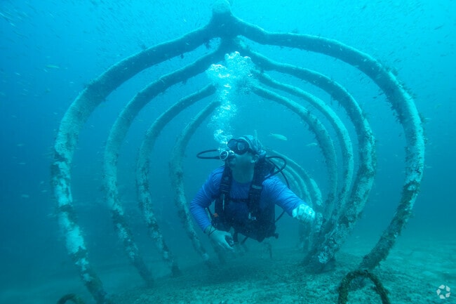 Divers flock to UMA via Grayton Beach, near Alys Beach, for its unique marine sculptures.