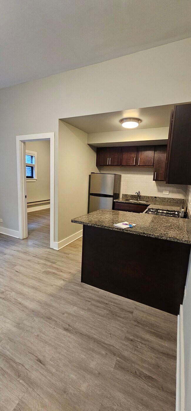 1437 N Dearborn St unit B4, Chicago, IL 60610 - photo 5