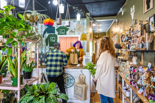 Mis Plantitas near Timberlake is a local plant nursery with knowledgeable staff.