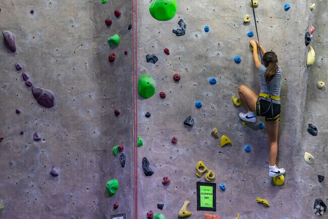 Texas Rock Gym provides a thrilling and challenging environment for climbers.