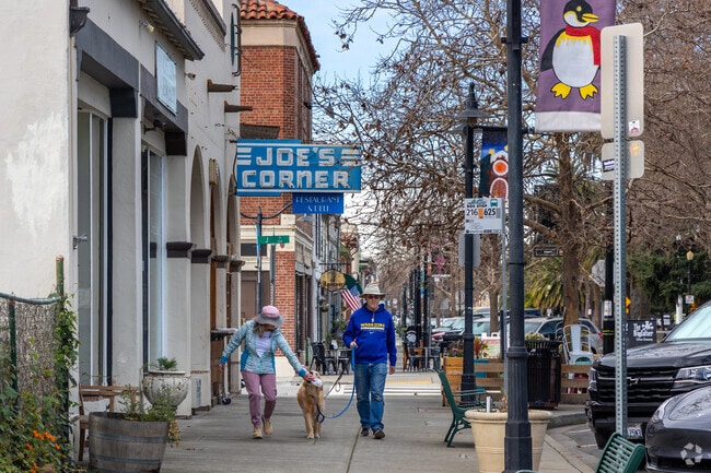 The well maintained sidewalks in Downtown Niles provide a safe path for dog owners.