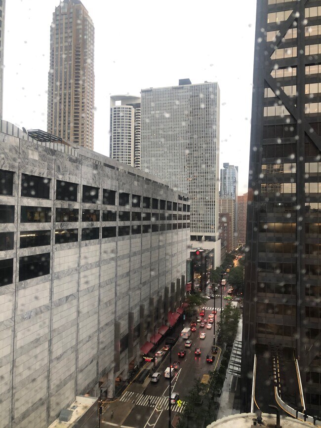 Plaza on Dewitt unit 307, Chicago, IL 60611 - photo 6