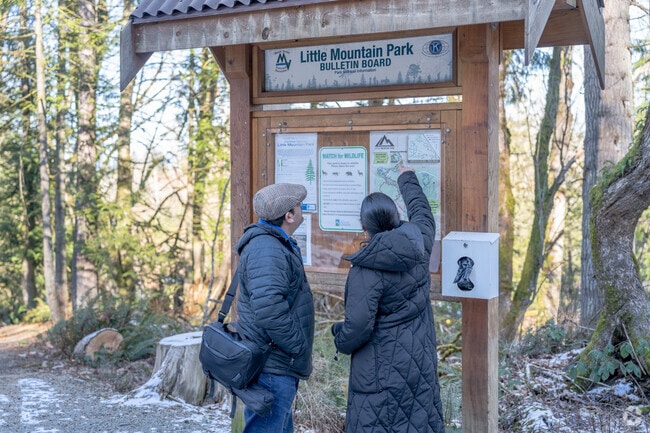 Conway residents hit the trails of Little Mountain Park for an afternoon adventure.