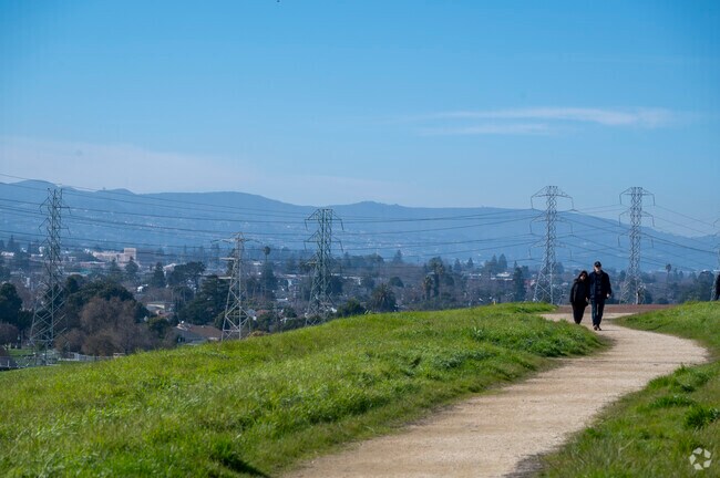 There are plenty of great hikes near the Parkside San Mateo neighborhood.
