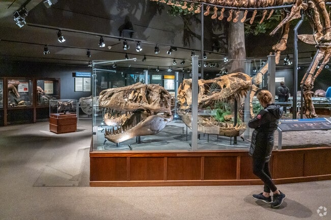 South Bozeman residents visit the Museum of the Rockies with their vast fossil collection.