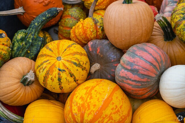 Cochranville thrives in the Fall, with plenty of activities for all ages.