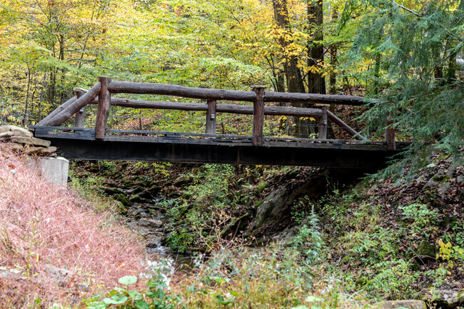 Springfield's country roads feature rustic bridges guiding travelers over babbling streams.