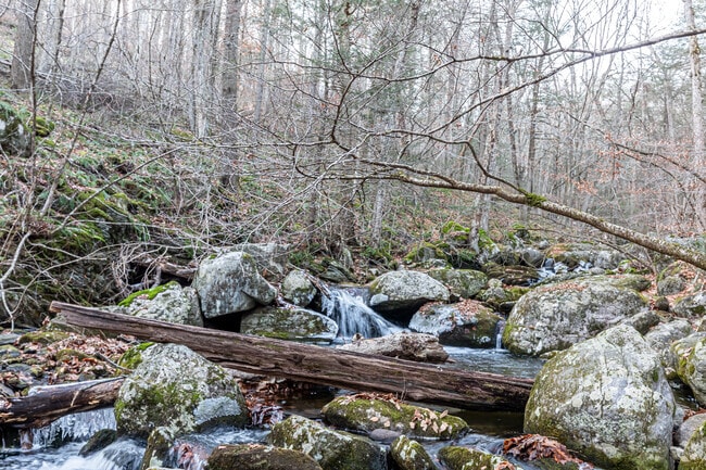 Hiking about a mile into Falls Brook Trail in Hartland will bring you to several waterfalls.