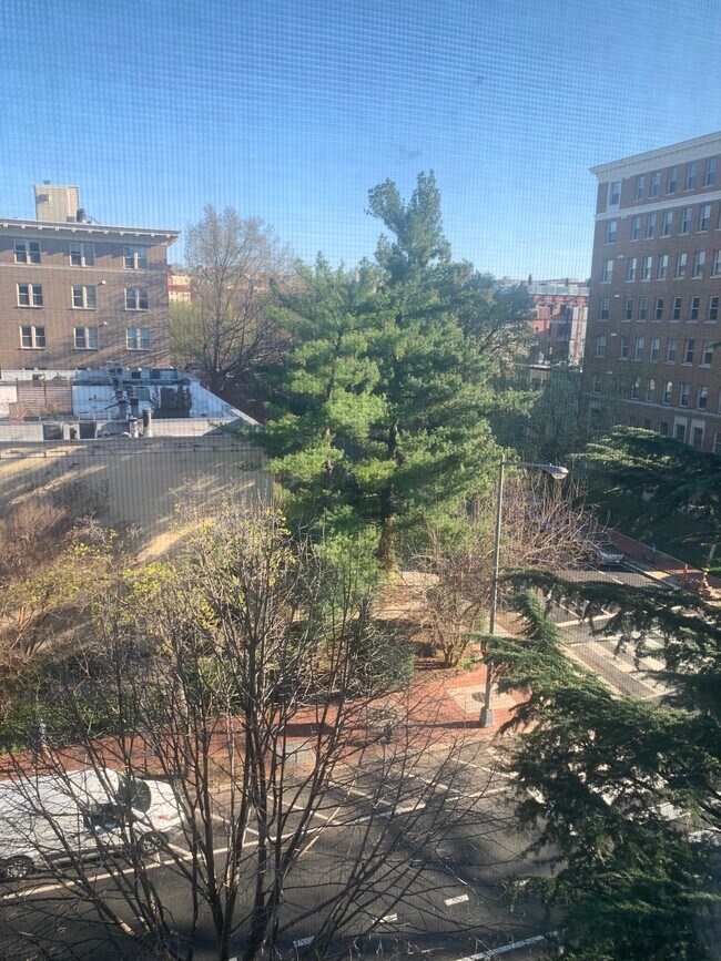 The Albemarle unit 405, Washington, DC 20009 - photo 7