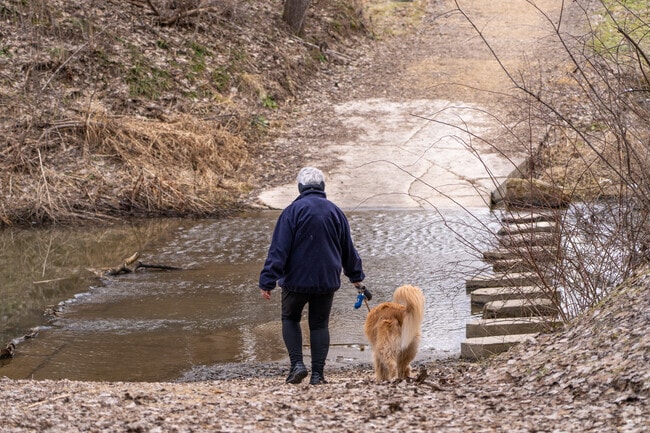 Local residents consider Sak's Woods in Middleton, WI a hidden gem just outside of downtown.