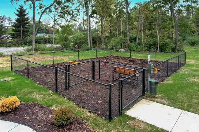 Dog Park