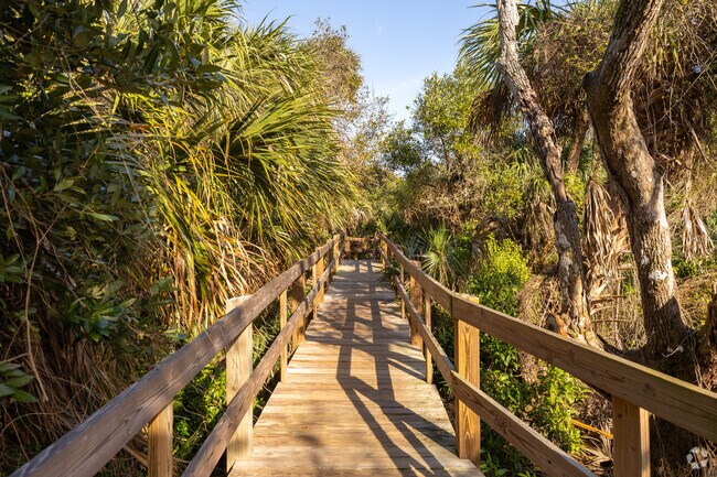 The Mansfield Maritime Hammock offers a quiet coastal habitat with shaded paths, perfect for a relaxing afternoon stroll in Cocoa Beach.